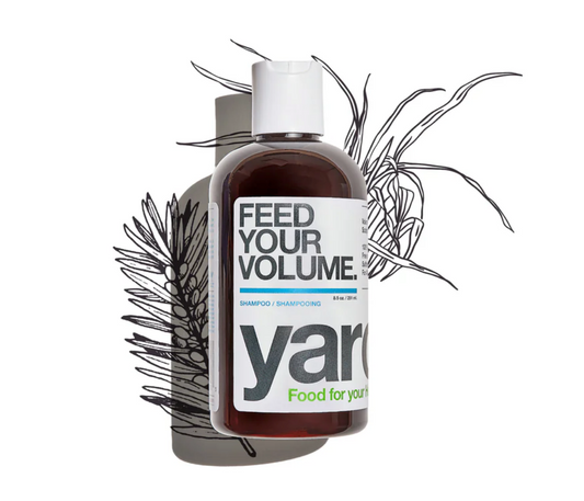 Feed Your Volume Shampoo (16 oz)